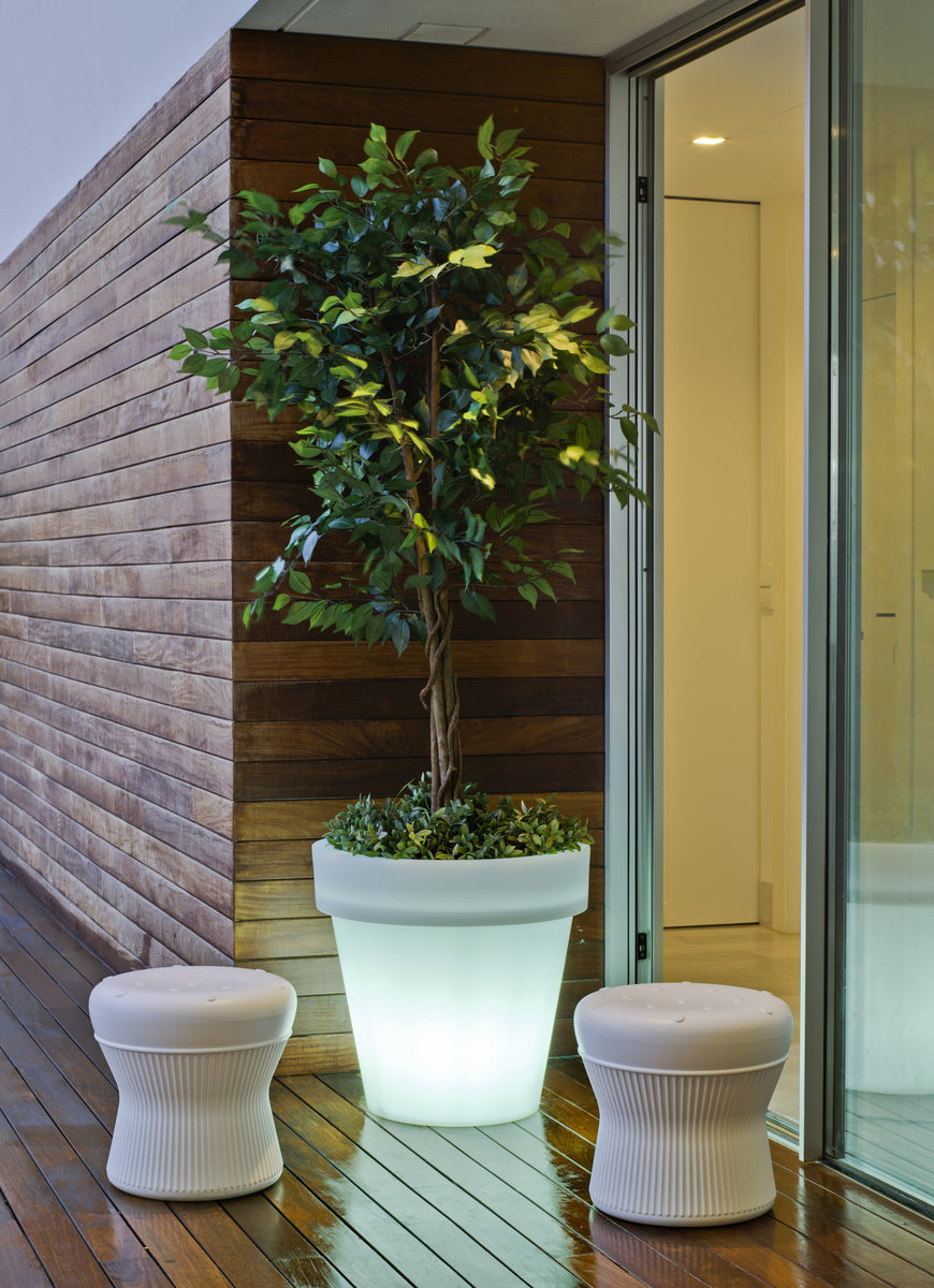 VASO ALTO FICUS 60 CON LUCE – Newgarden Shop IT