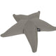 Stella marina galleggiante Starfish