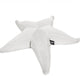 Stella marina galleggiante Starfish