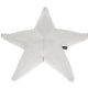 Stella marina galleggiante Starfish