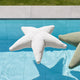 Stella marina galleggiante Starfish