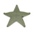Stella marina galleggiante Starfish