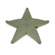 Stella marina galleggiante Starfish
