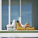 Sedile galleggiante Sit Pool