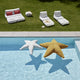 Stella marina galleggiante Starfish