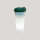 VASO ALTO FICUS 60 CON LUCE