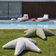 Stella marina galleggiante Starfish