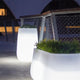 Vaso lungo con luce CAMELIA LARGE