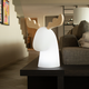Renna illuminata Rudy