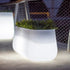 Vaso lungo con luce CAMELIA LARGE