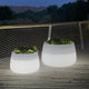 Vaso cilindrico con luce CAMELIA 60