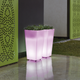 Vaso con luce MELISA 30