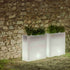 Vaso illuminato JUNCO 80 LUCE