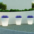 Vaso grande con luce MAGNOLIA 80CM