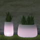 Vaso cilindrico con luce CAMELIA HIGH