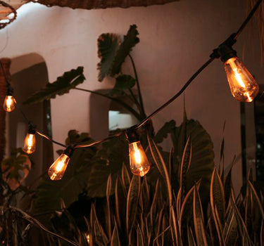 GHIRLANDA DI LUCI ALLEGRA 220V NERO