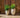 Vaso tondo ALOE 55