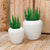 Vaso tondo ARECA 80