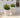 Vaso tondo ARECA 60