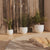 AZALEA 40 fioriera rotonda colore