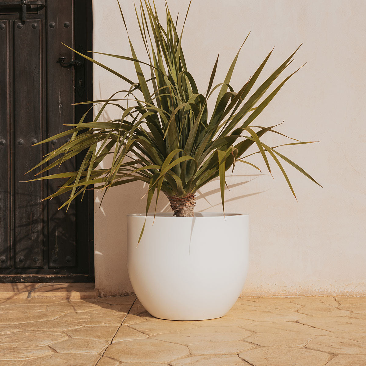 KADAX Vaso da fiori moderno in plastica per fiori da interno Piante Vaso da fiori da balcone (17 KADAX Vaso da fiori moderno in plastica per fiori da interno Piante Vaso da fiori da balcone (17