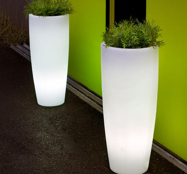 Vaso con luce BAMBÚ 90