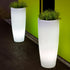 Vaso con luce BAMBÚ 90