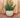 Vaso tondo BEGONIA 80 HIGH