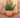 Vaso tondo BEGONIA 60