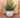 Vaso tondo BEGONIA 80 HIGH