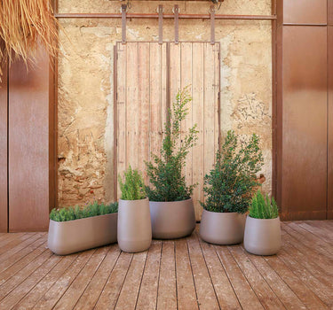 Vaso tondo CAMELIA 60