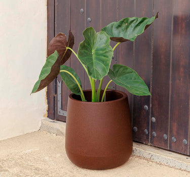 Vaso tondo CAMELIA 40