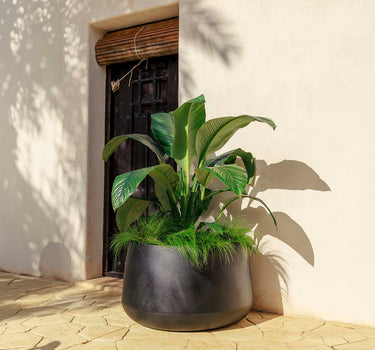 Vaso tondo CAMELIA 80