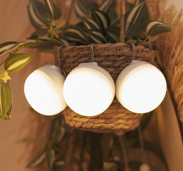 Lampadina ricaricabile portatile CHERRY MINI (confezione da 3 lampadine)