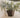 Vaso quadrato CLAVEL 40 COLOR