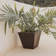 Vaso quadrato CLAVEL 40 COLOR