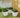 Vaso quadrato CLAVEL 30 COLOR