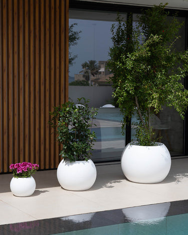 XXL Delight Vaso rotondo per fiori 200L - Set da 2 | Leroy Merlin