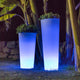 VASO ALTO FICUS 60 CON LUCE