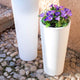 VASO ALTO FICUS 60