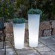 VASO ALTO FICUS 80 CON LUCE