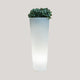 VASO ALTO FICUS 80 CON LUCE