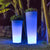 VASO ALTO FICUS 80 CON LUCE