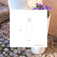 VASO ALTO FICUS 60 CON LUCE