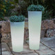 VASO ALTO FICUS 60 CON LUCE