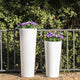 VASO ALTO FICUS 80