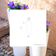 VASO ALTO FICUS 80