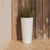 VASO ALTO FICUS 60