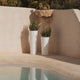 VASO ALTO FICUS 80