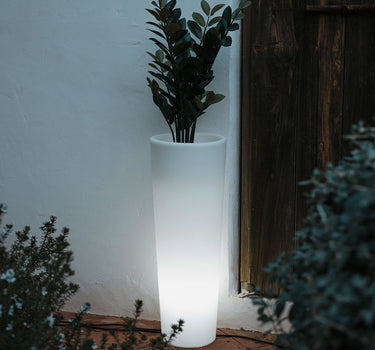 VASO ALTO FICUS 80 CON LUCE